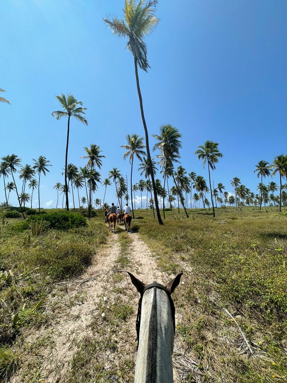 Trilha Praia
