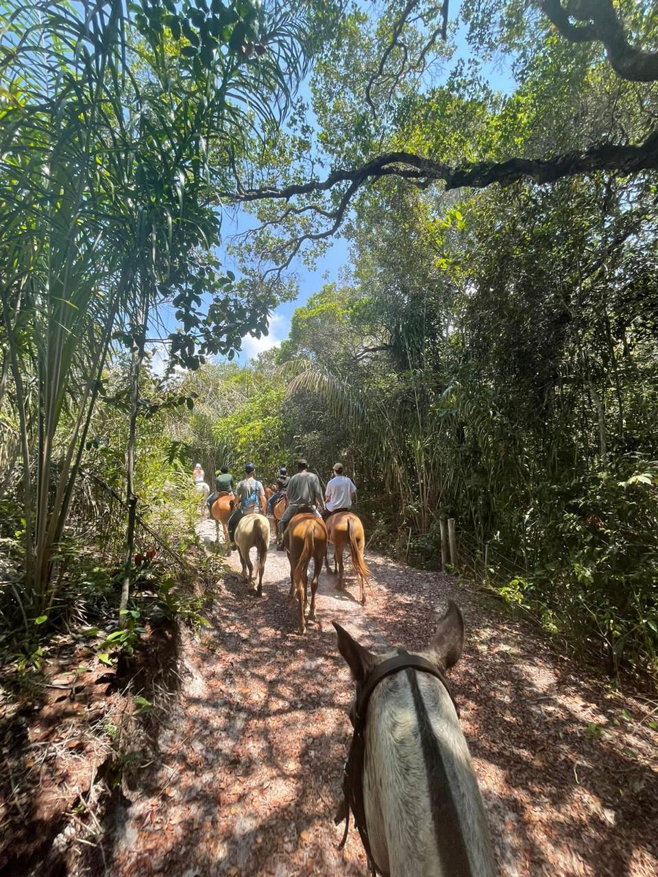 Trilha Fazenda